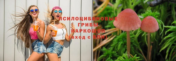 тгк Кукмор