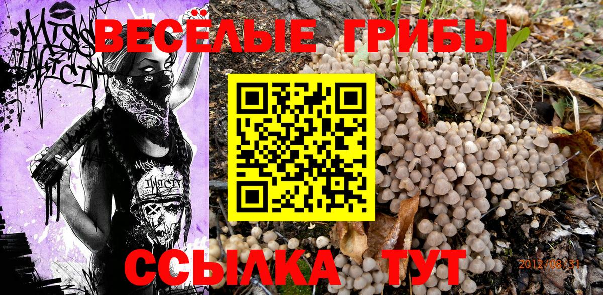 Галлюциногенные грибы MAGIC MUSHROOMS Тайшет