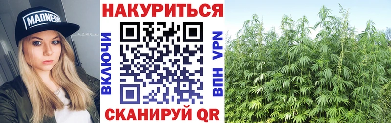 МАРИХУАНА конопля  Тайшет 
